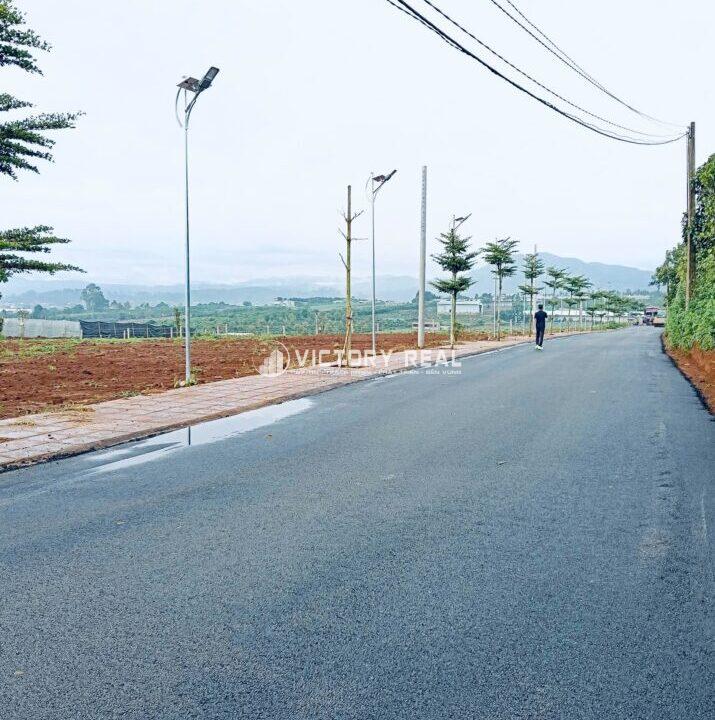 Bán đất nền Đinh Văn Lâm Hà (18)