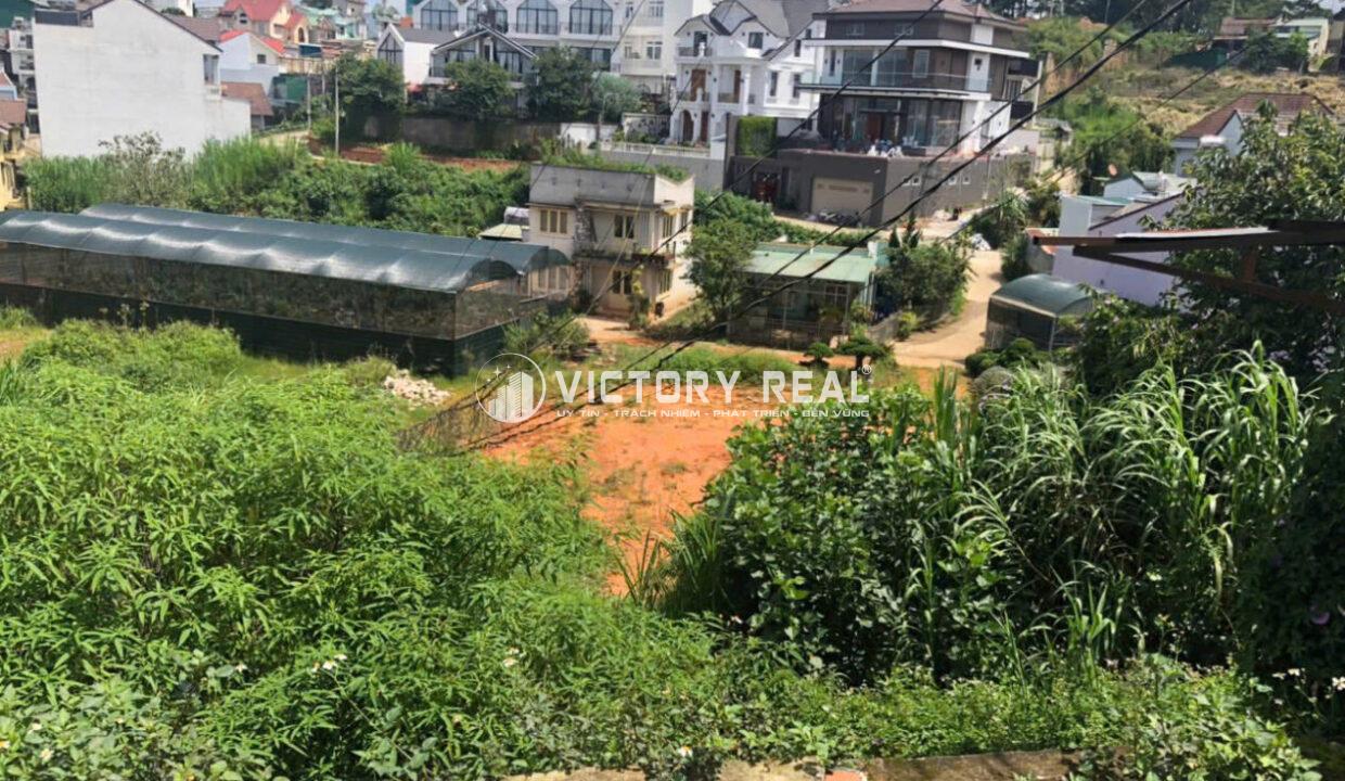 đất hùng vương đà lạt giá rẻ (8)