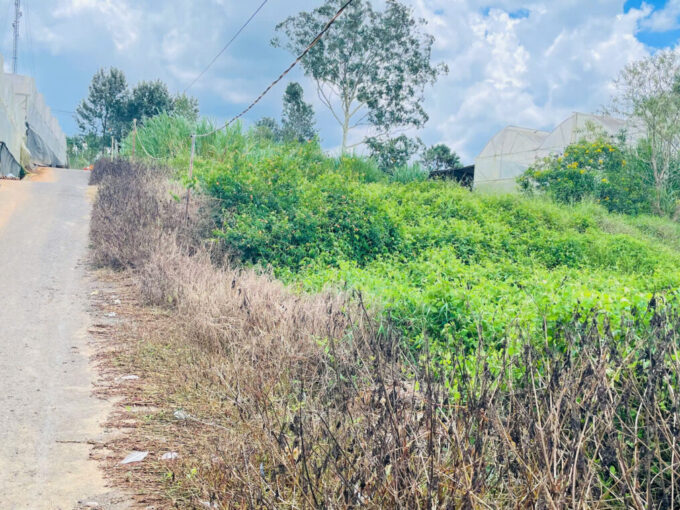 💎 Đầu Tư Siêu Lời – Mua Đất Tặng Nhà Cấp 4, Diện Tích Rộng, Pháp Lý Chuẩn!