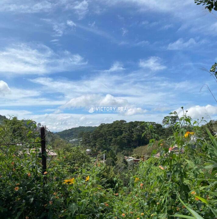 Z6586921361930_e526ff32edf1118a5b0db4cdf1788b76133913232219903454