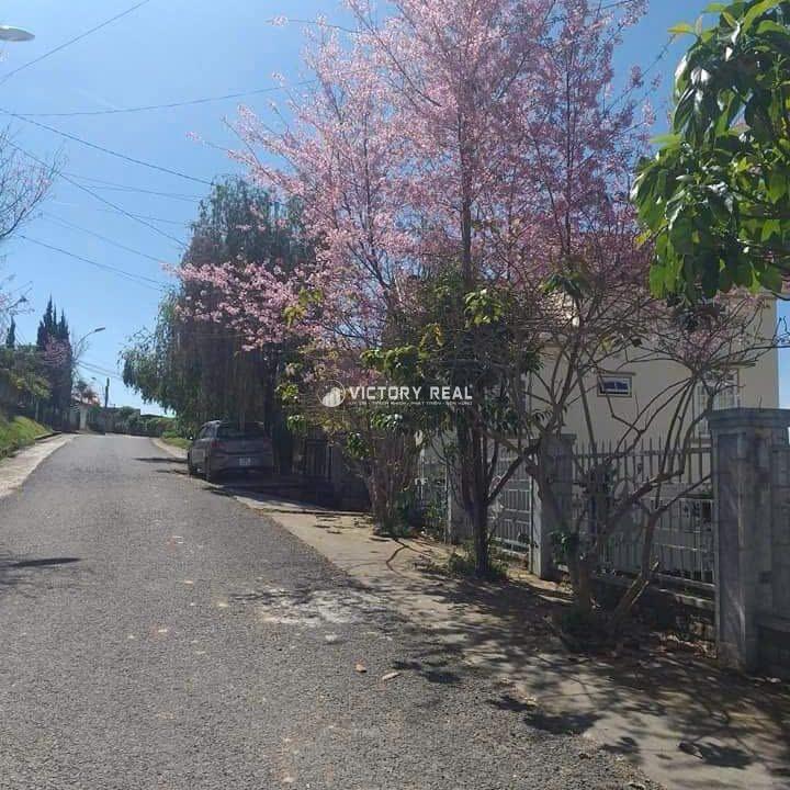 z7094311794727_6e543099ff03a5f5dee4b95161ff13cc