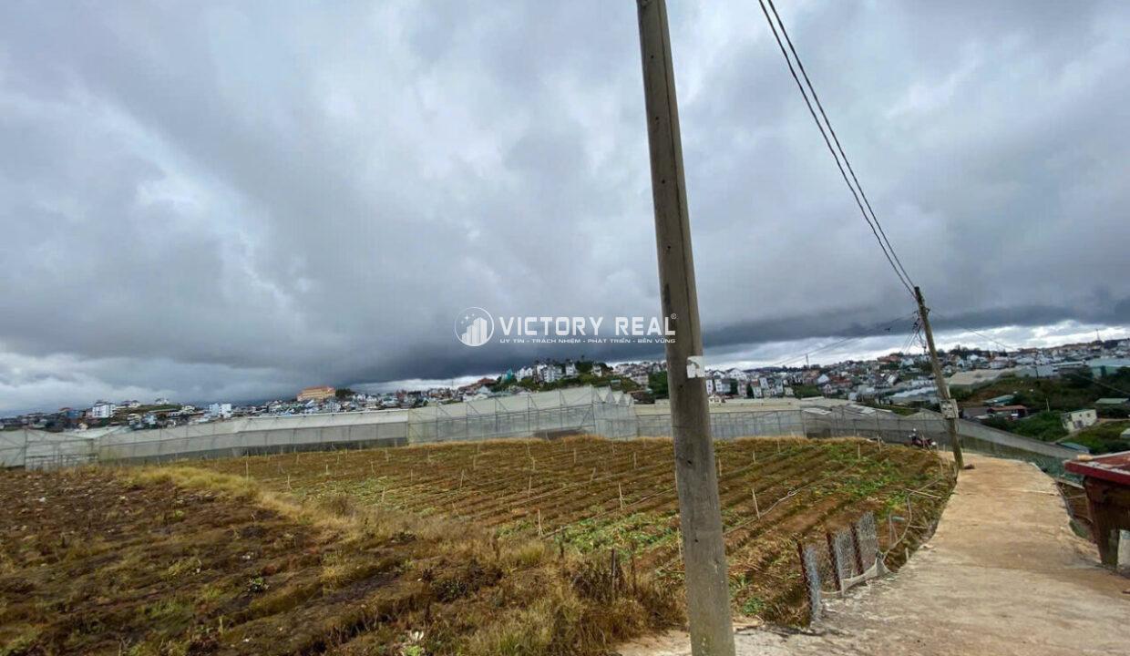 z7153453352849_22fca603bbe832ea700bb710c7c263c1