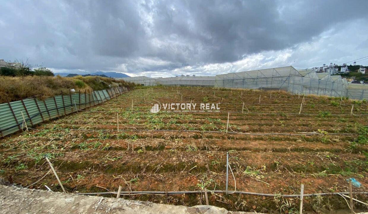 z7153453352877_32e3f06d525fff4ca3f19ae56c925859