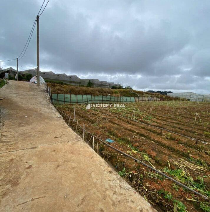 z7153453352887_1425dda21e0356534722b1d3b9b2258e