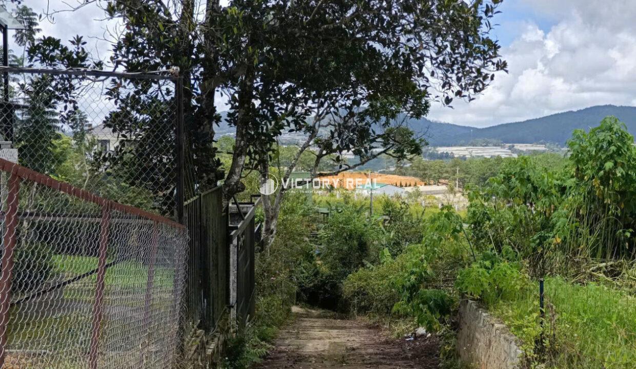 z7163829726709_c51ee87318d7eee535817e8108a014d2