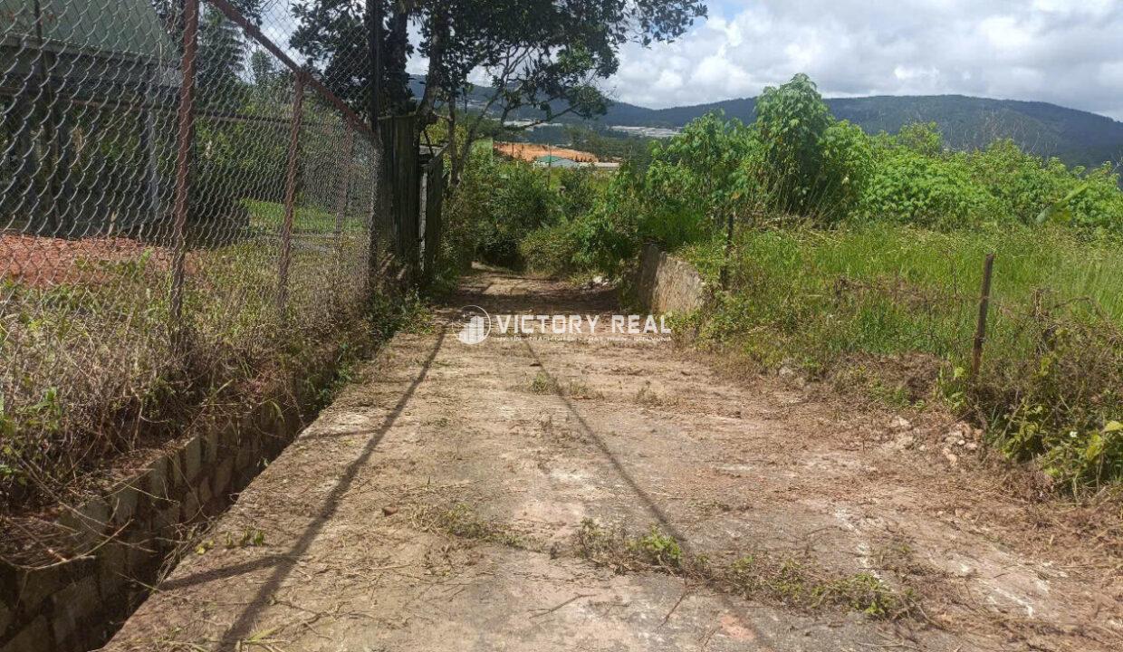 z7163829738060_488db3bdb7fea41dec898c1afd37ee4d