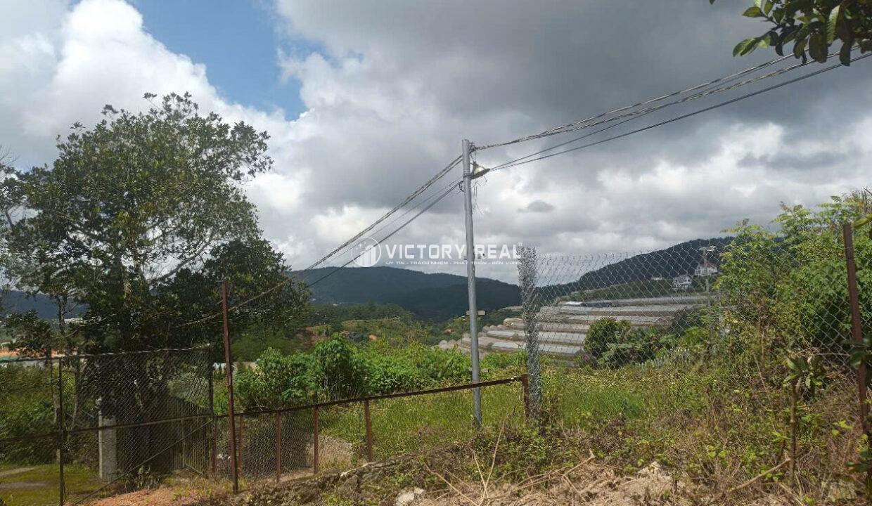 z7163829750806_cc96fe2d9248a8685e84461371499a3f