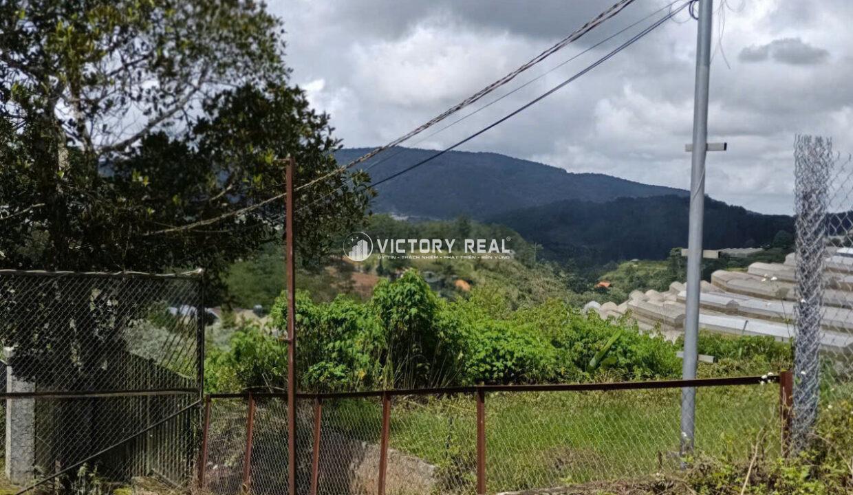 z7163829764503_cd9f21698da1167857b4f48781cfe2f6