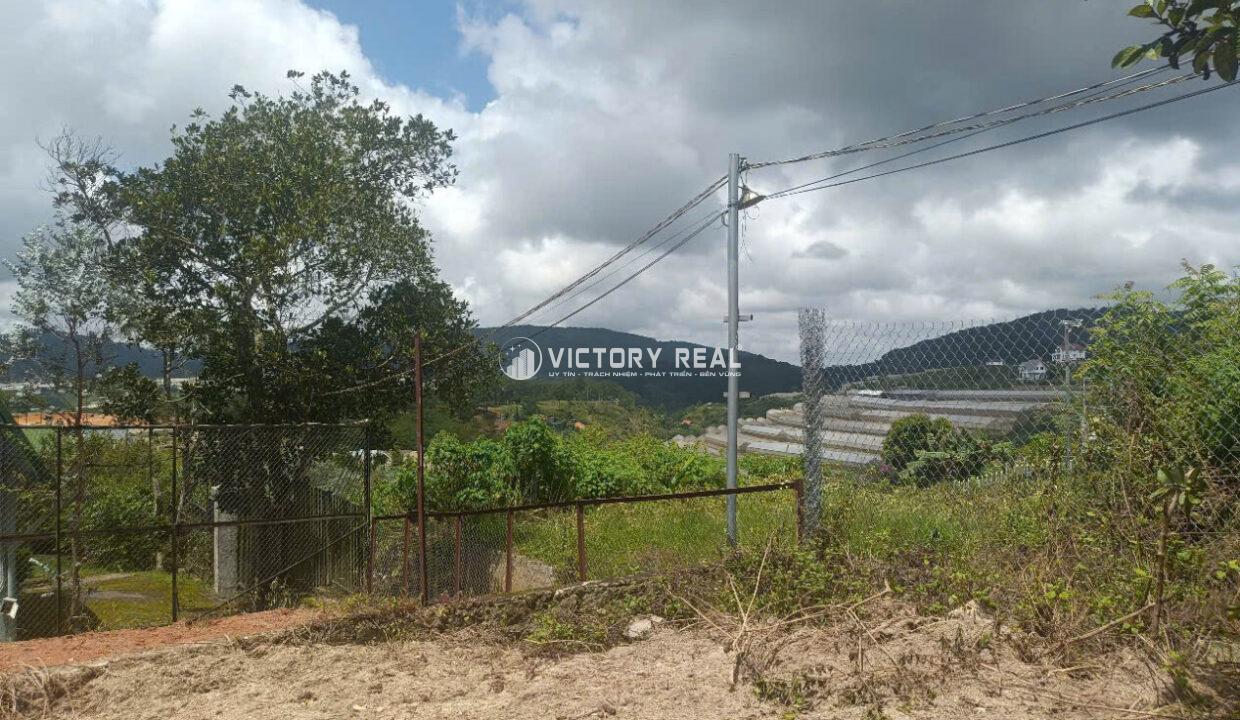 z7163829777553_fc79f2b2ff7745ab17adbc2226e23a6e