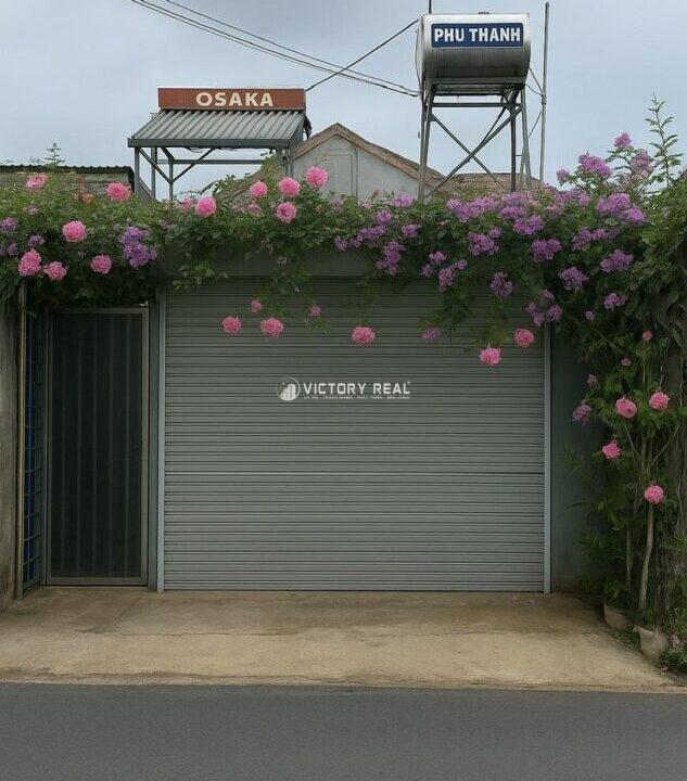 z7166282779736_3a6c4cb587929e20a593f46c8803315b