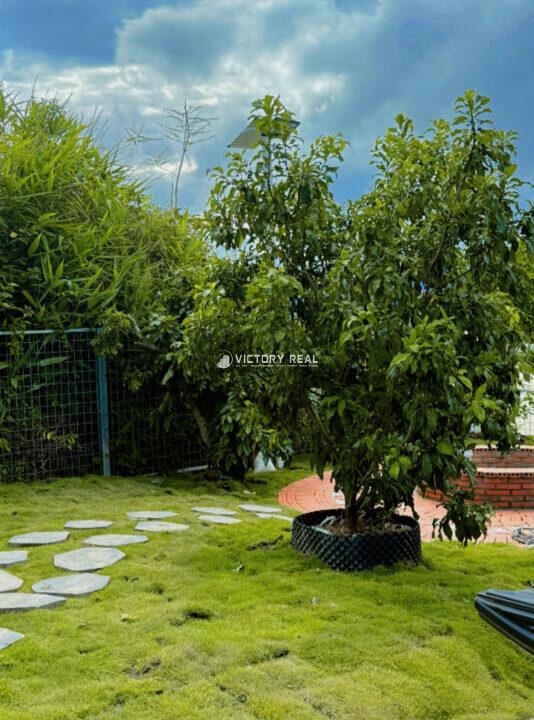 Z6979039722738_432ed84c4a57b78547ffcbe41e423a13134015189999990103