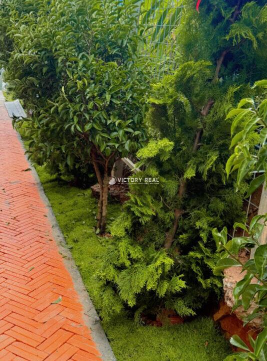 Z6979039788597_095d2ea02e35125ca80d0bb85e969e2d134015190055243588