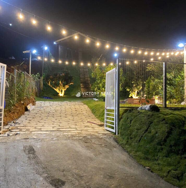 Z6979039803214_af2899bba41c49b0523b3785f2810d44134015190067988777