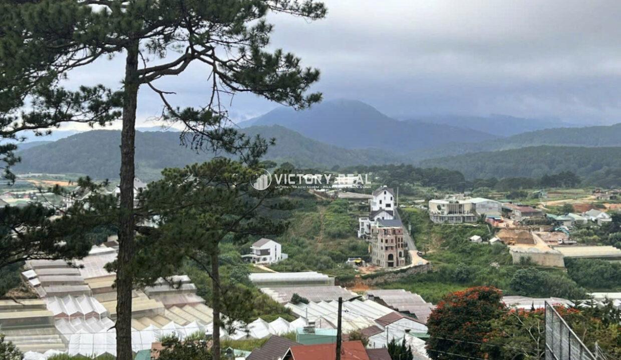 Z7073272541235_0c6c6206c63c6b5c50415734b7a5935f134038637157803567081200