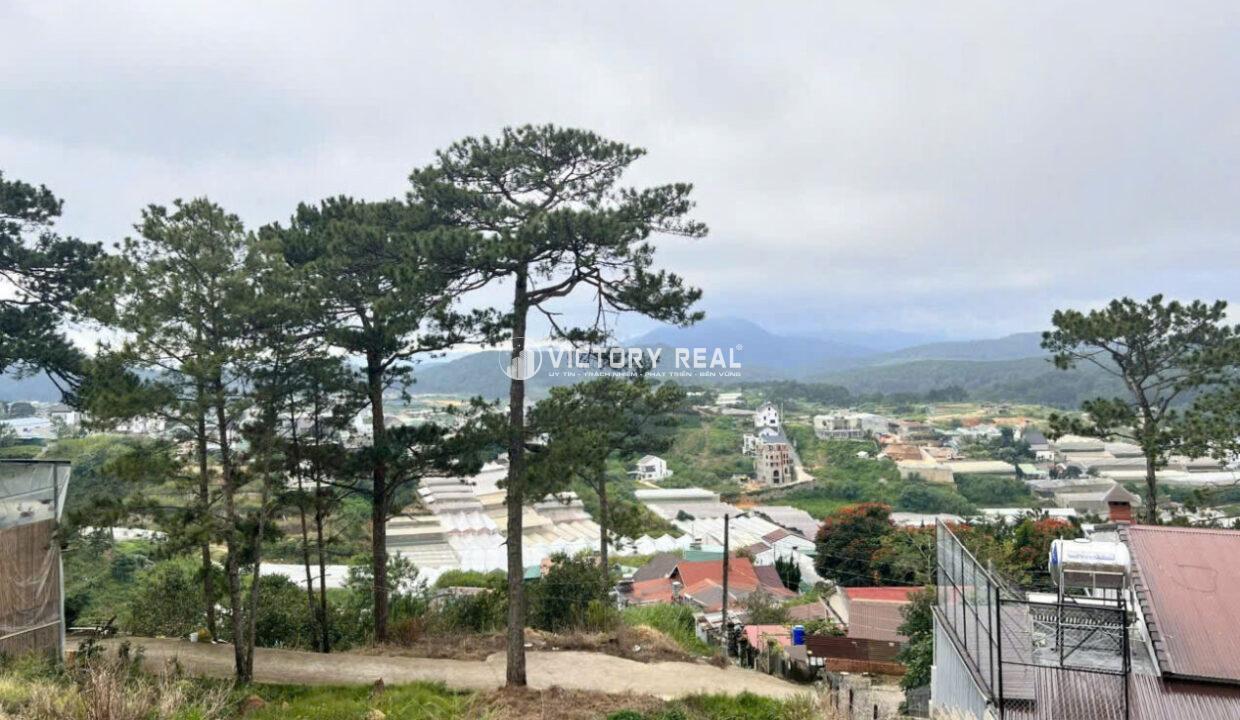 Z7073272620493_0059e7eb6b688ce2587d428d8384ef34134038637176675472081202