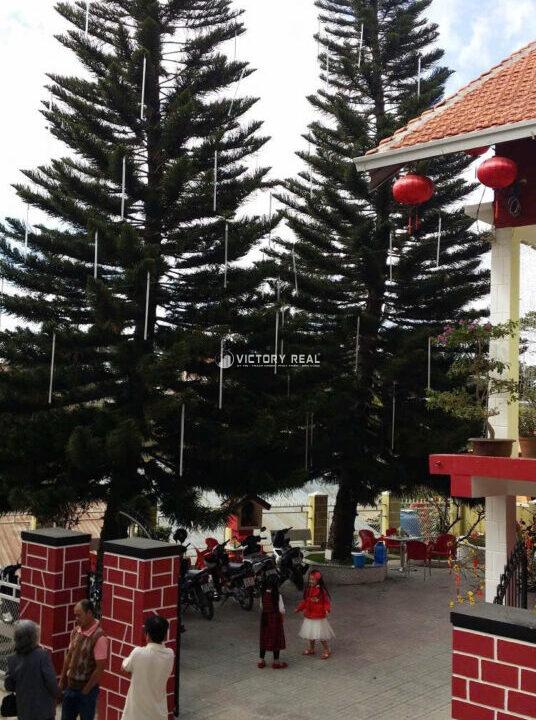 z6919169692535_8402731505bf58932aa2d5ec85053e6b