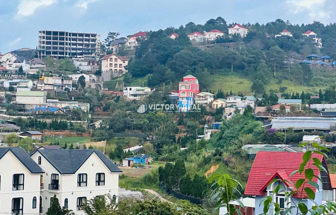 z7125398438847_bf8d73d986ebc650521bd7839975347d