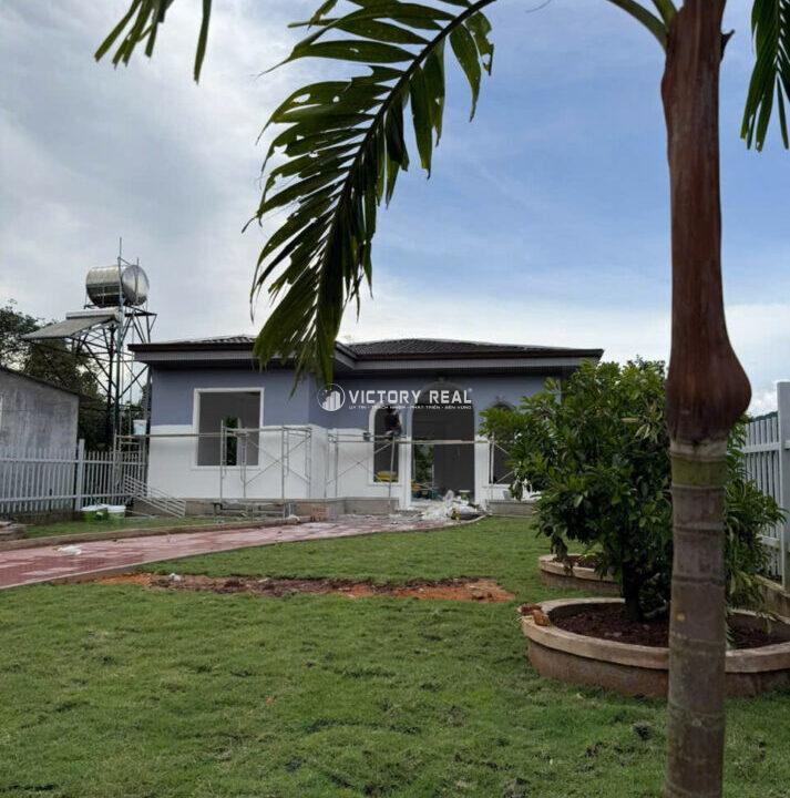 z7184305602342_548533ce30f5448a5e7c3716b376067b