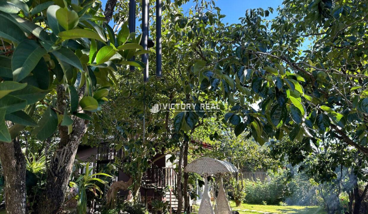 z7200963918838_470b9015dc2595e60b3ccb98d2f58a73