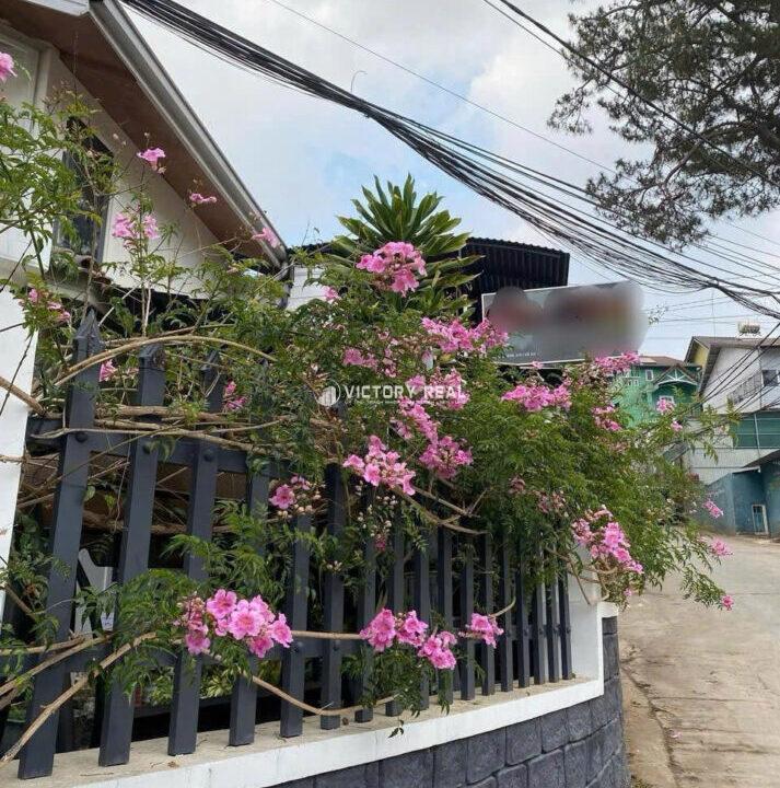 z7208591324842_d828fcaf9ce7cfa701a2bedec44b252b