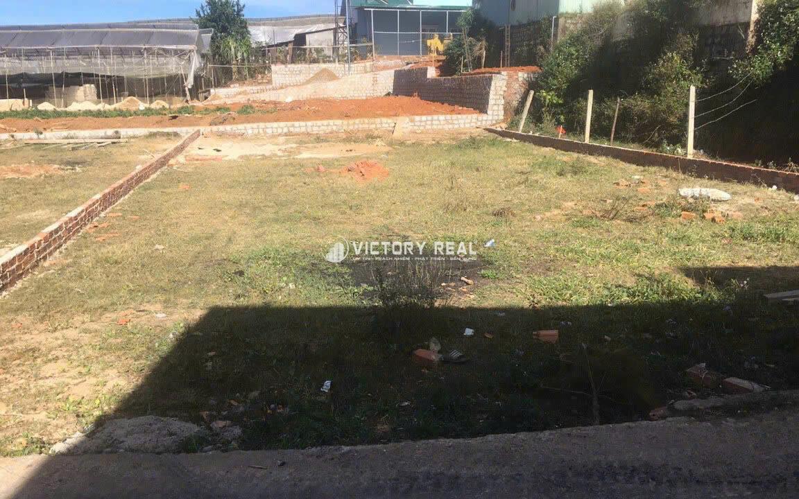 z7223703796193_fb86aa212208f32746ae7ff0db18f16f