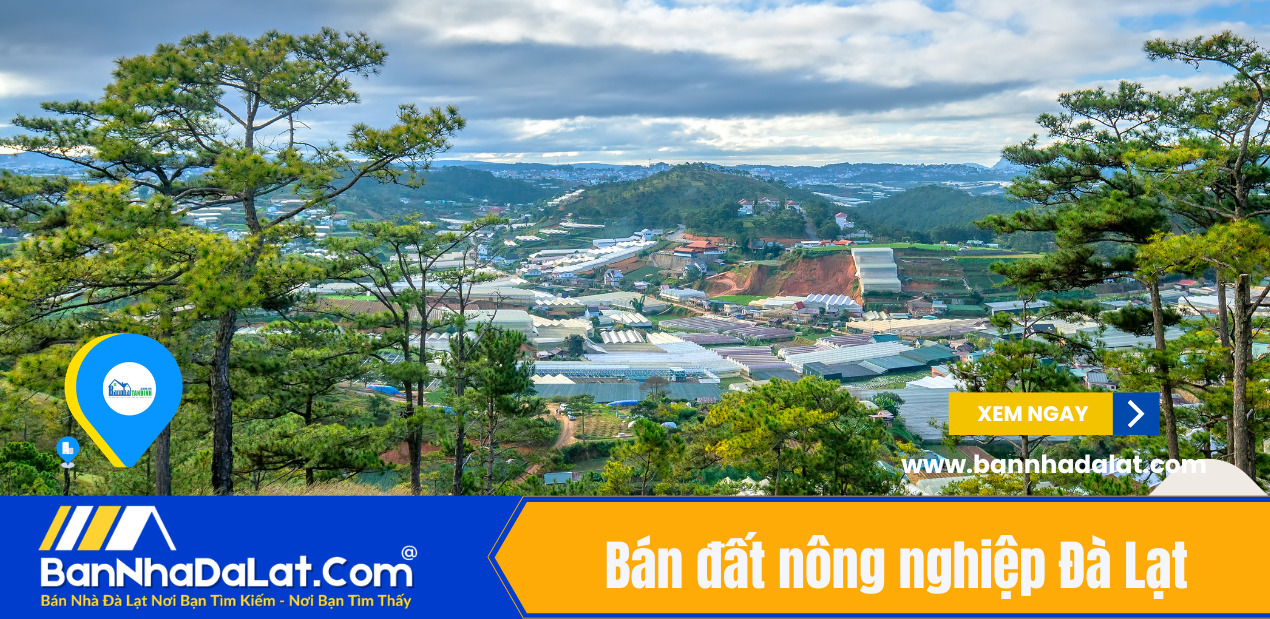 Bán đất nông nghiệp Đà Lạt giá rẻ, vị trí đẹp có view kinh doanh
