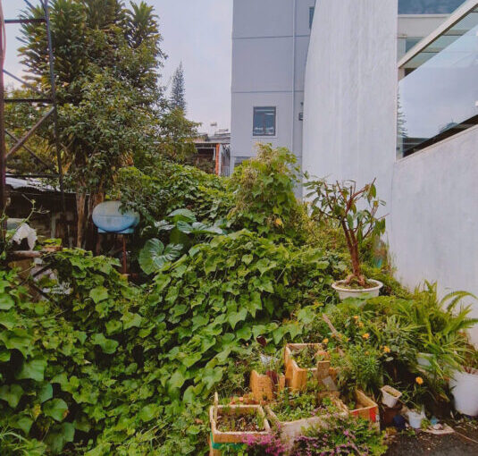 Bán 74m2 Đất Hẻm Ôtô đường Nguyễn Đình Chiểu, P.09, Đà Lạt ,Giá 4,5 Tỷ